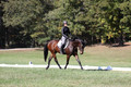 Brooke Bayley on Unbroken, Beginner Novice Horse Trials Senior A
