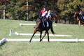 Shannon Daily on Pitt Maneuver, Novice Horse Trials Senior B