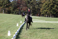 Melissa Kenny on F.O. Calculated Risk, Novice Horse Trials Senior B