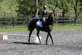 Jenny Rosner on Evita K, Advanced Green HT Senior