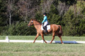Clay Cooke on Clifford Dun It Again, Advanced Green Horse Trials B