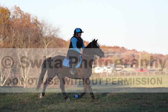 Alison O'Connor on Harwich Maximus, Green Horse Trials Senior
