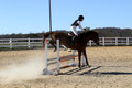 Ingrid Dunn on Ruby Redbird, Beginner Novice Horse Trials Senior C