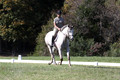 Carolyn Rutledge on Izzy, Advanced Green Horse Trials A