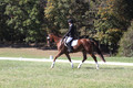 Emily Kagey on Flicka, Beginner Novice Horse Trials Junior A