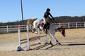 Corrine Woods on Chief's Star Dreammaker, Beginner Novice Horse Trials Senior B