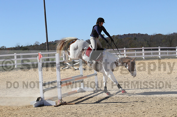 Corrine Woods on Chief's Star Dreammaker, Beginner Novice Horse Trials Senior B