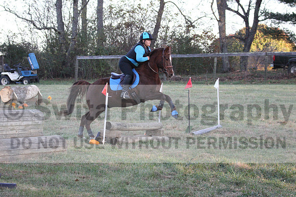 Alison O'Connor on Harwich Maximus, Green Horse Trials Senior