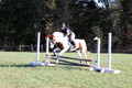 Elizabeth Schooley on Pearl, Advanced Green Horse Trials A