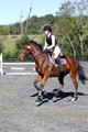 Mandolin Whitten on Thistle, Novice Horse Trials
