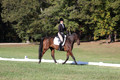 Margo Hardy on Soling's Hat Trick, Novice Horse Trials Senior B