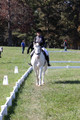 Kay Brady on Destiny's Mystique, Beginner Novice Horse Trials Senior C