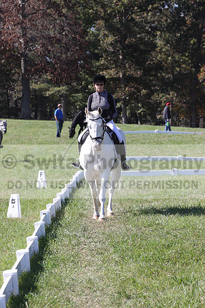 Kay Brady on Destiny's Mystique, Beginner Novice Horse Trials Senior C