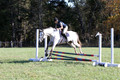 Carolyn Rutledge on Izzy, Advanced Green Horse Trials A