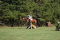 Elizabeth Davis on Freedom's Stormy Night, Beginner Novice Horse Trials Junior B