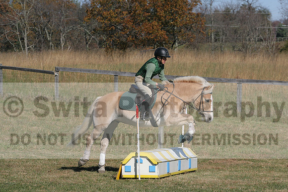 Sally Nunneley on Gingerman, Beginner Novice Horse Trials Senior A