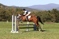 Elizabeth Davis on Freedom's Stormy Night, Beginner Novice Horse Trials Junior B