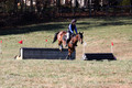 Francesca Toms on Top Secret, Novice Horse Trials Junior