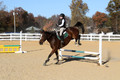 Ella Grier on Jean Louis Finch, Advanced Green Horse Trials Junior B