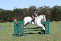 Violet Cross on Elpin Odin, Beginner Novice Horse Trials Junior B
