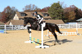 Dorothy Lower on The Wizard Of Oz, Advanced Green Horse Trials Junior A
