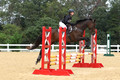 V32L0450