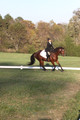 Paula McConnell on Summers Lilac, Dressage Only: Beginner Novice A