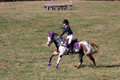 Holly Holbrook on Two Bet Chloe, Beginner Novice Horse Trials Junior A
