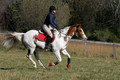 Corrine Woods on Chief's Star Dreammaker, Beginner Novice Horse Trials Senior B