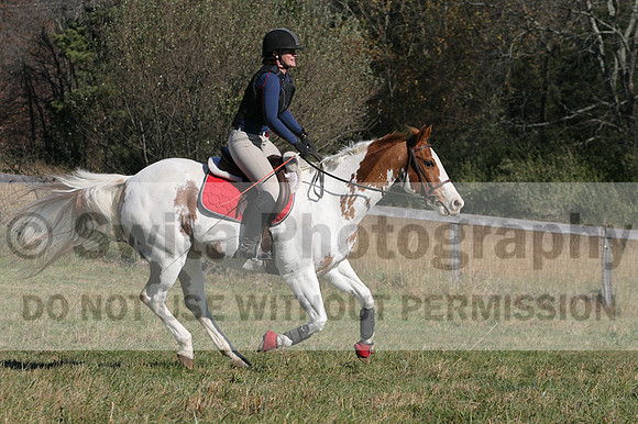 Corrine Woods on Chief's Star Dreammaker, Beginner Novice Horse Trials Senior B