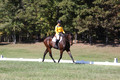 Emily Digney on American Airman, Beginner Novice Horse Trials Senior B