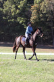 Carol Brickey on Throwing Stones, Advanced Green Horse Trials B