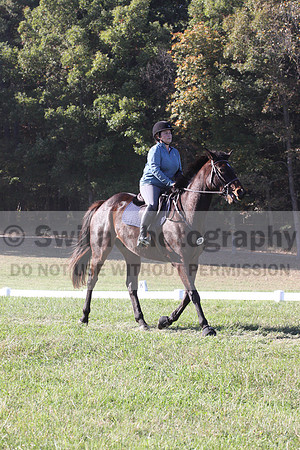 Carol Brickey on Throwing Stones, Advanced Green Horse Trials B