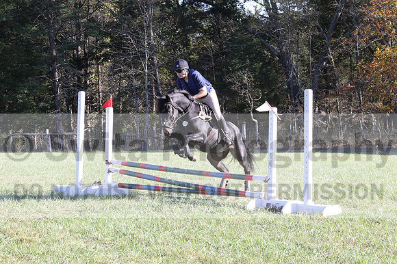 Paul Pinner on MLC Irish Rapture, Advanced Green Horse Trials A