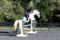 Liz Riley on Ice Storm, Novice HT