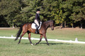 Margo Hardy on Soling's Hat Trick, Novice Horse Trials Senior B