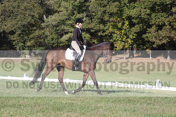 Margo Hardy on Soling's Hat Trick, Novice Horse Trials Senior B