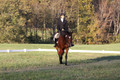 Paula McConnell on Summers Lilac, Dressage Only: Beginner Novice A
