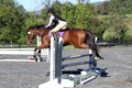 Mandolin Whitten on Thistle, Novice Horse Trials