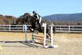 Dorothy Lower on The Wizard Of Oz, Advanced Green Horse Trials Junior A