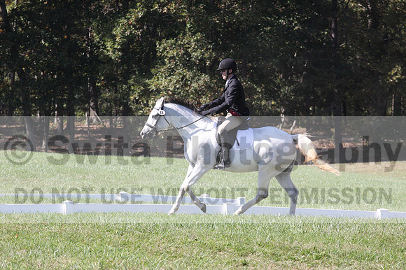 Adam Fillius on I Impress Myself, Beginner Novice Horse Trials Senior B