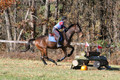 Shannon Daily on Pitt Maneuver, Novice Horse Trials Senior