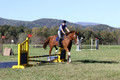 Amy Parsons on Wren Wrouge, Advanced Green Horse Trials A
