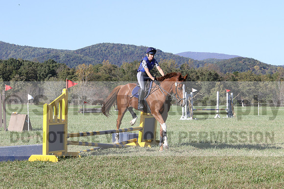 Amy Parsons on Wren Wrouge, Advanced Green Horse Trials A