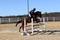 Francesca Toms on Top Secret, Novice Horse Trials Junior