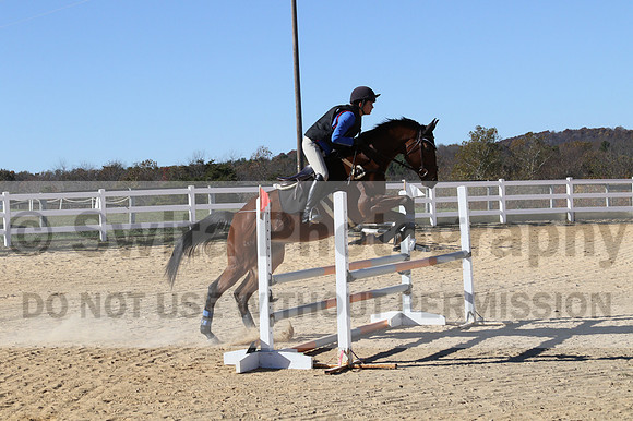Francesca Toms on Top Secret, Novice Horse Trials Junior