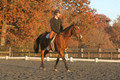 Chris Nicholson on Port Of Call, Dressage Only: First Level, Test 1