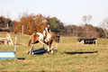 Reagan Roy on Paint By Numbers, Green Horse Trials Junior