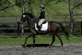 Jenny Rosner on Evita K, Advanced Green HT Senior