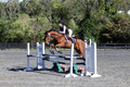 Mandolin Whitten on Thistle, Novice Horse Trials
